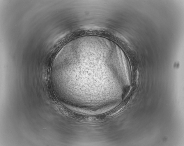 X0000094070966200711021506