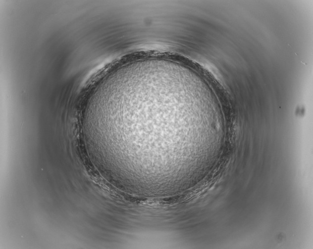 X0000094070967200711021506