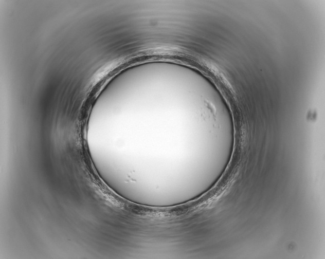 X0000094070970200711021506