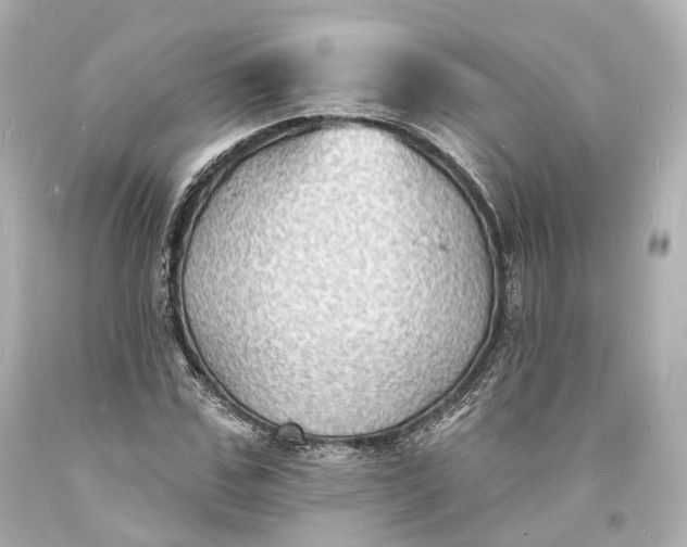 X0000094070971200711021506