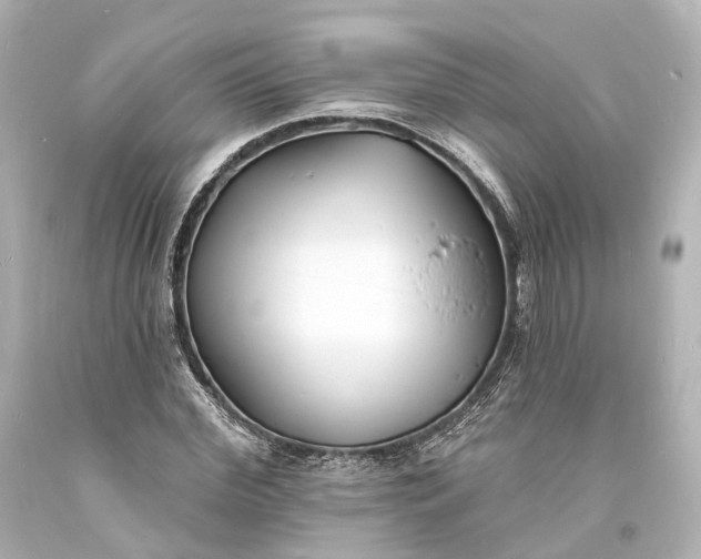 X0000094070972200711021506