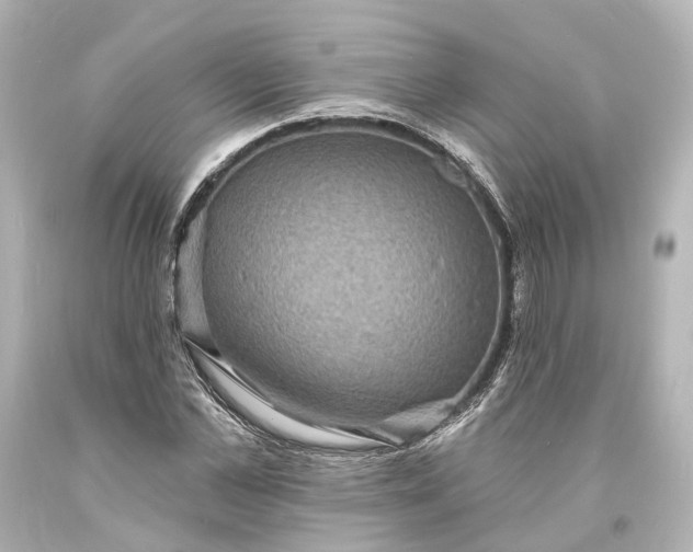 X0000094070973200711021505