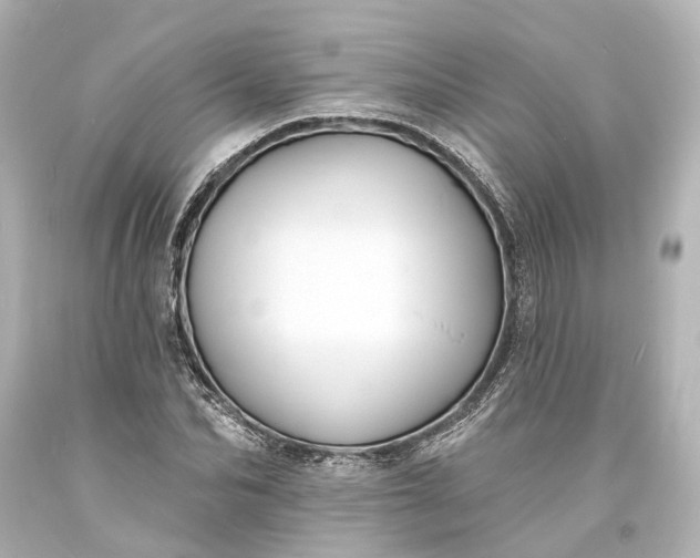 X0000094070974200711021505