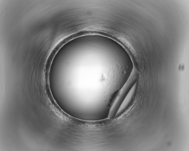 X0000094070976200711021505