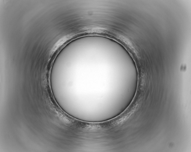 X0000094070978200711021505