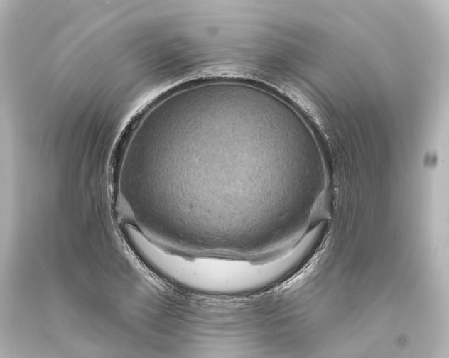 X0000094070981200711021505
