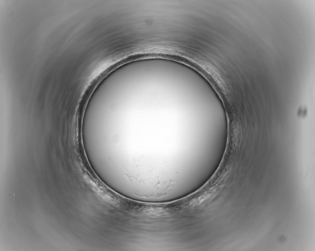 X0000094070982200711021505