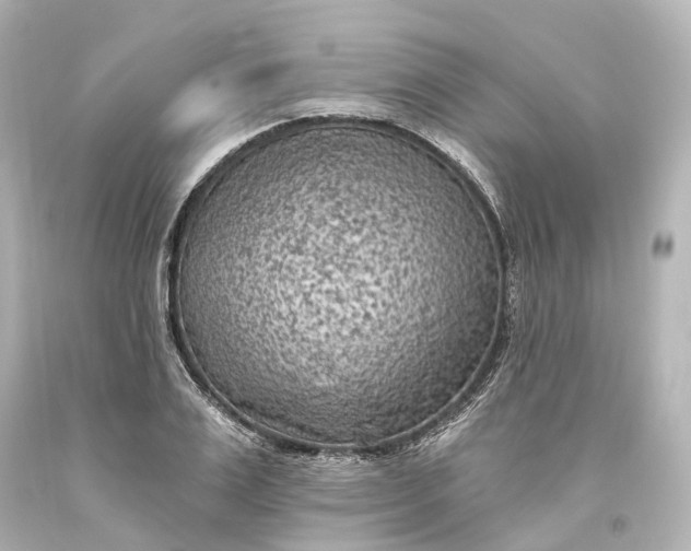X0000094070983200711021505