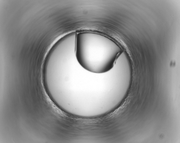 X0000094070984200711021505