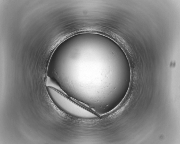 X0000094070985200711021505