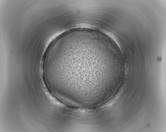 X0000094070987200711021505