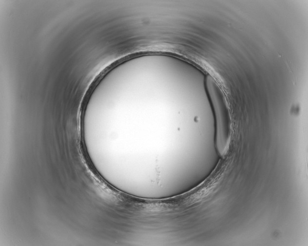 X0000094070988200711021505