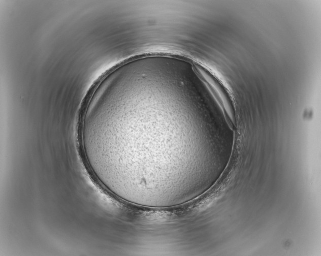X0000094070991200711021505