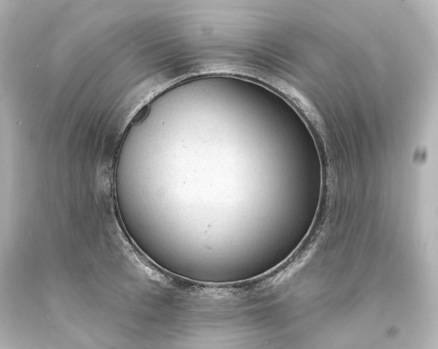 X0000094070993200711021505