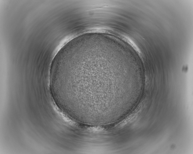 X0000094070994200711021505
