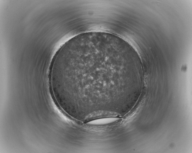 X0000094070995200711021505