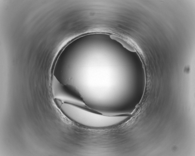 X0000094070996200711021505