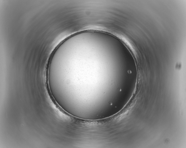 X0000094070999200711021505