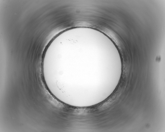 X0000094071000200711021505