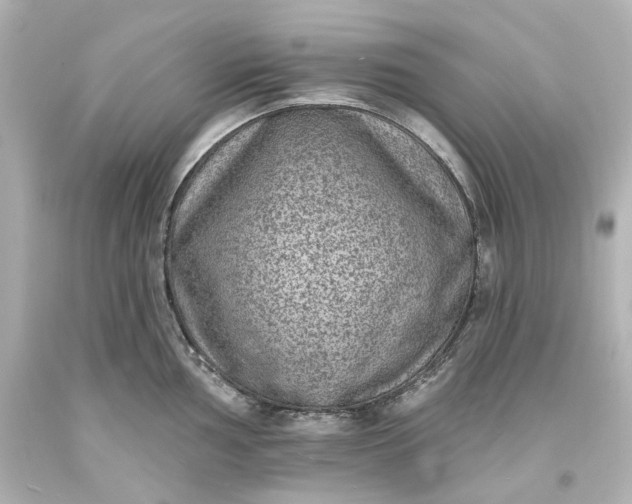 X0000094071002200711021505