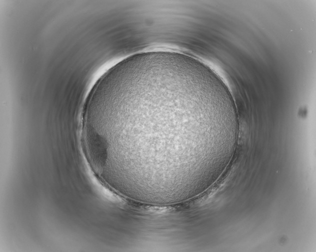 X0000094071003200711021505