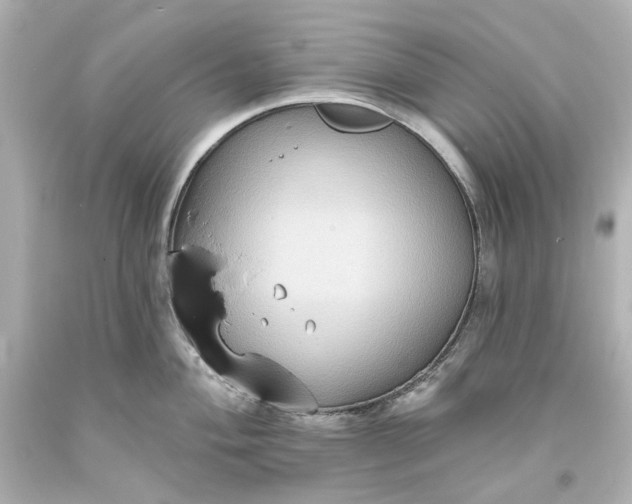 X0000094071004200711021505
