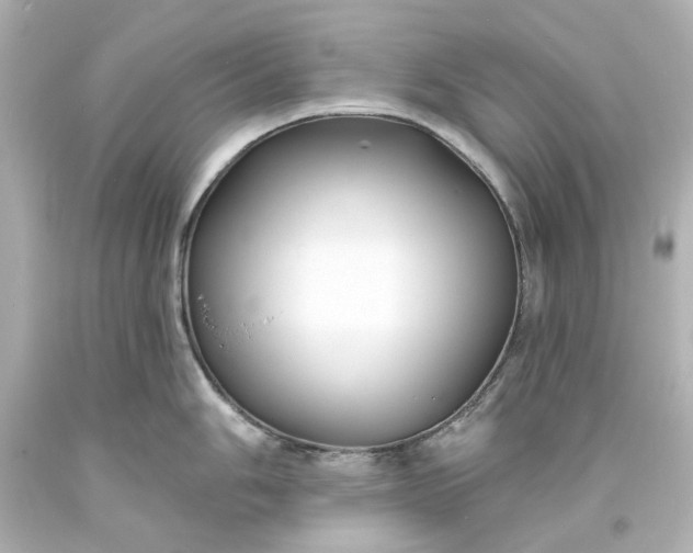 X0000094071006200711021505