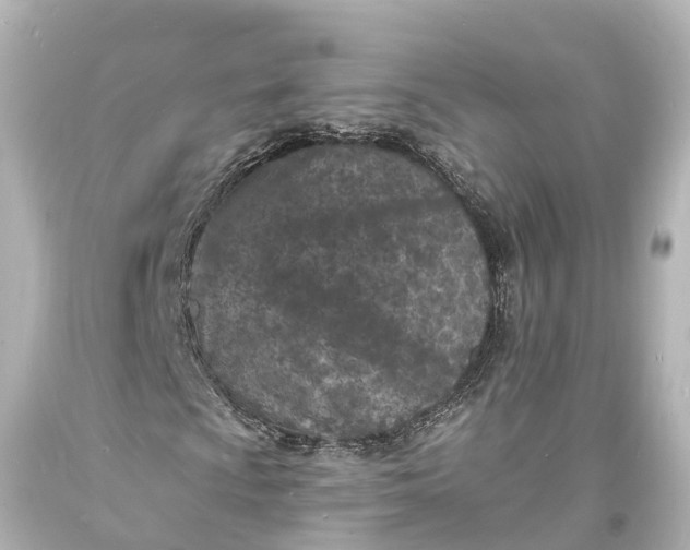 X0000094071009200711021504