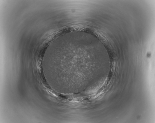 X0000094071010200711021504