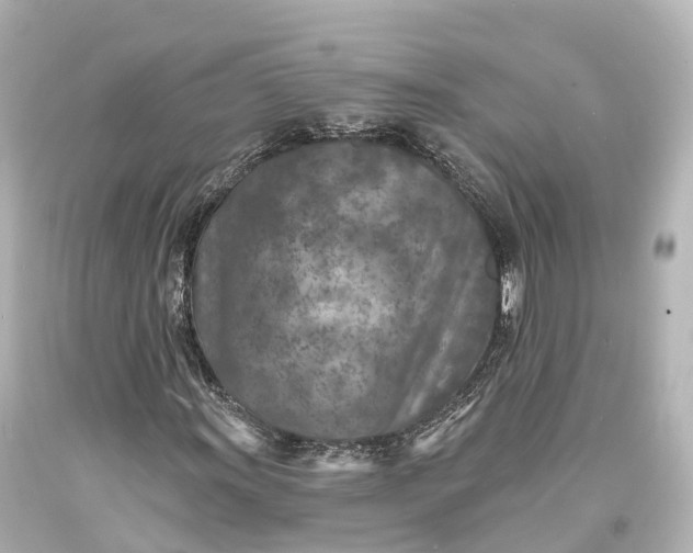 X0000094071011200711021504