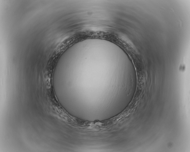 X0000094071013200711021504
