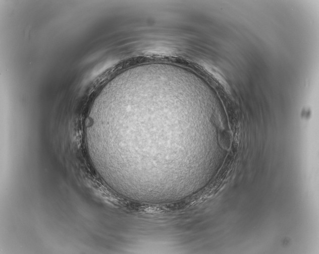 X0000094071015200711021504