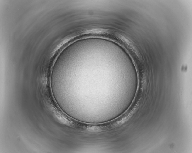 X0000094071017200711021504