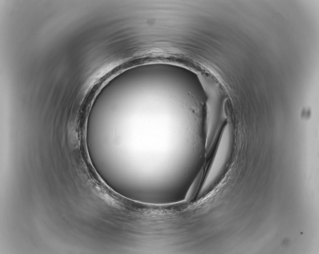 X0000094071018200711021504