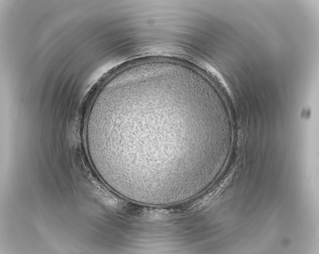 X0000094071019200711021504