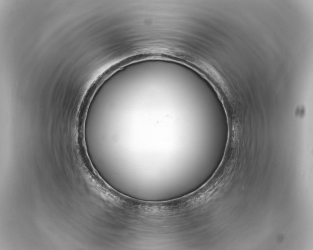 X0000094071020200711021504
