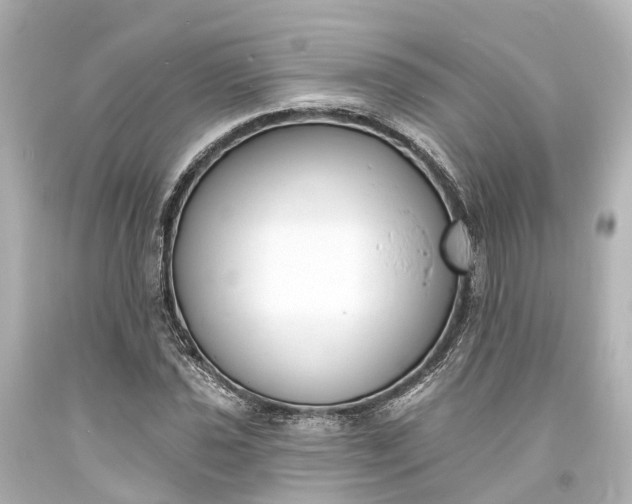 X0000094071021200711021505