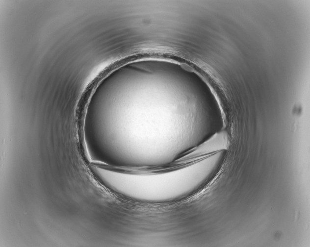 X0000094071022200711021505