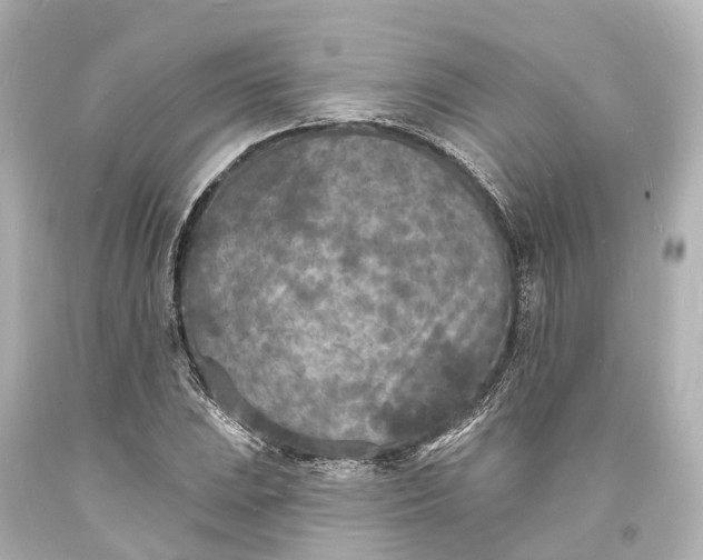 X0000094071023200711021505