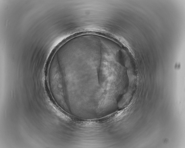 X0000094071024200711021505