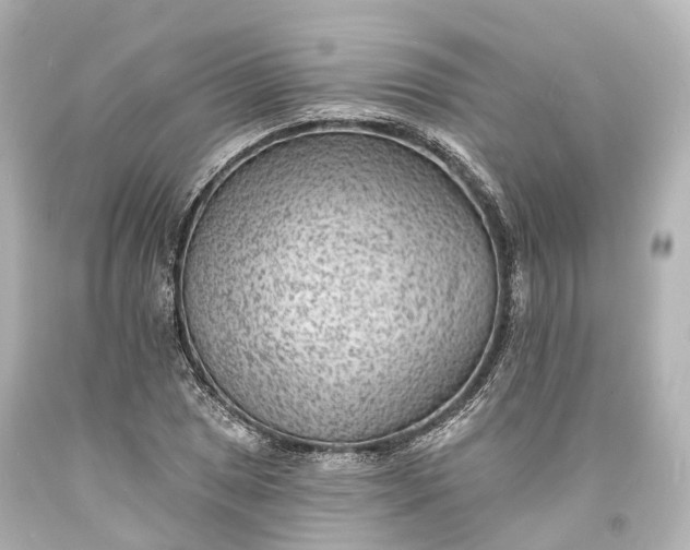 X0000094071025200711021505