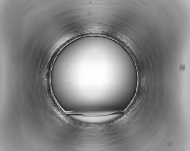 X0000094071026200711021505