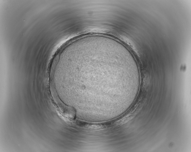X0000094071027200711021505