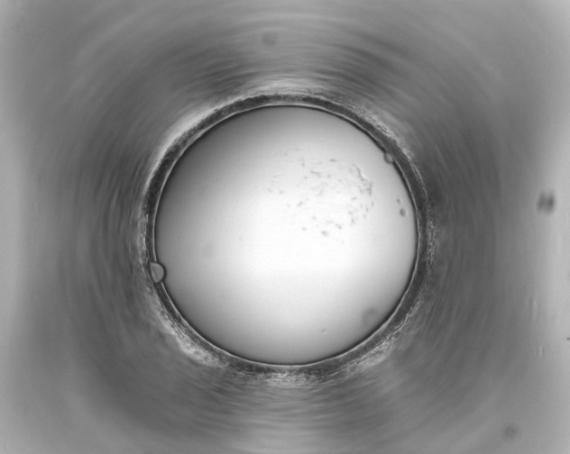 X0000094071029200711021505