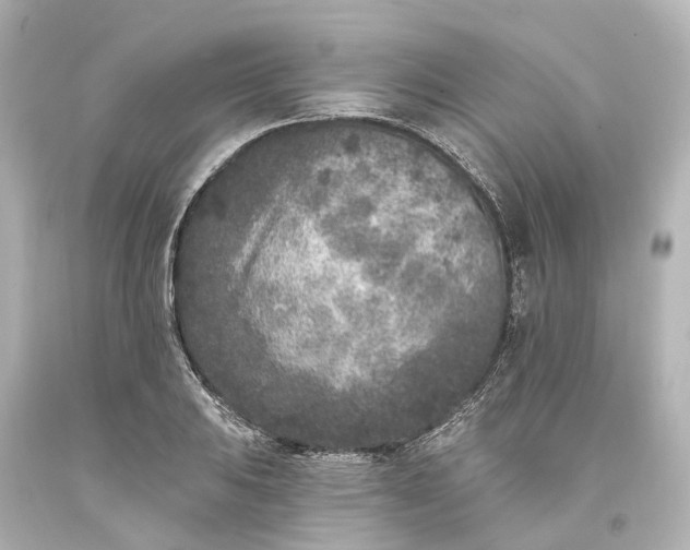 X0000094071031200711021505