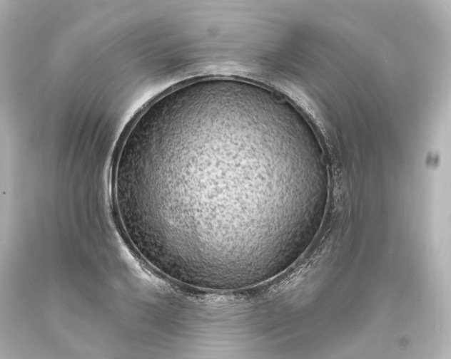 X0000094071032200711021505