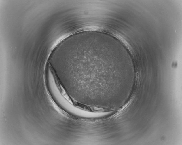 X0000094071034200711021505