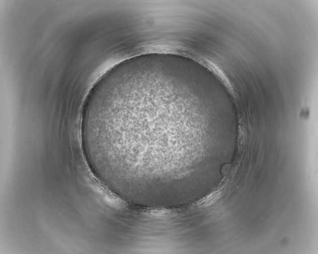 X0000094071035200711021505