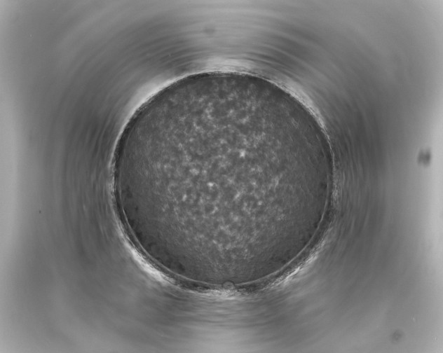 X0000094071037200711021505