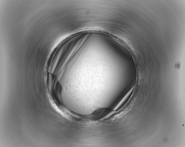 X0000094071038200711021505